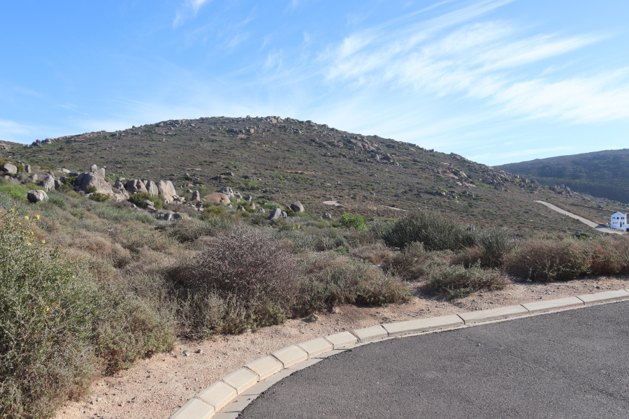 0 Bedroom Property for Sale in Steenbergs Cove Western Cape
